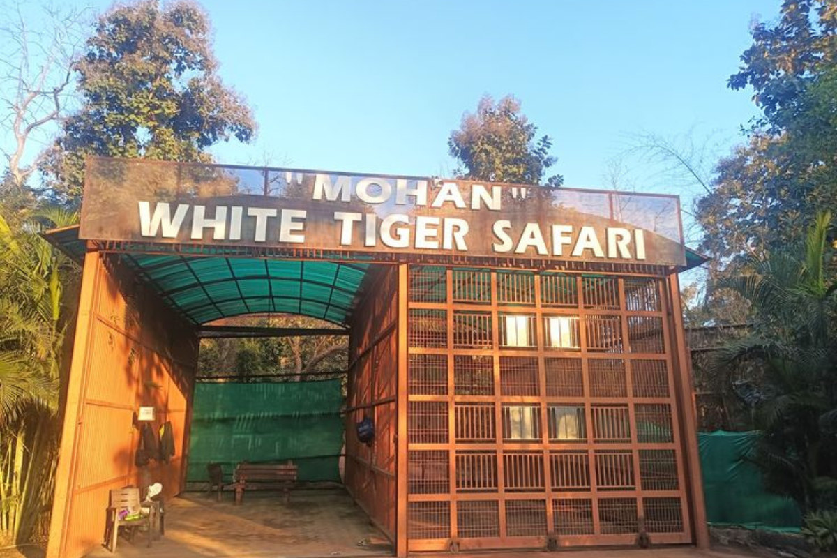 Untitled design - 2026-04-07T172317.176